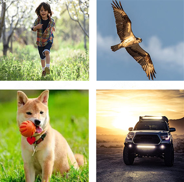 gps追踪器应用 gps追踪器应用