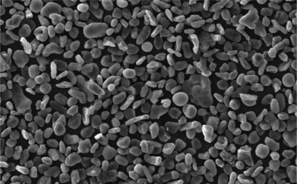 电极材料的准备 电极材料的准备