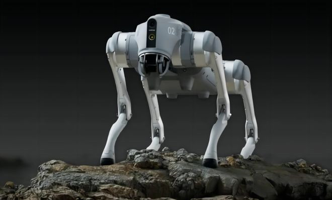 四足机器人 四足机器人