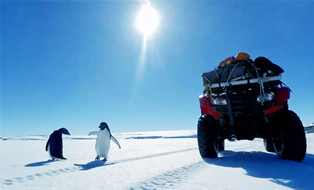 气候环境 气候环境